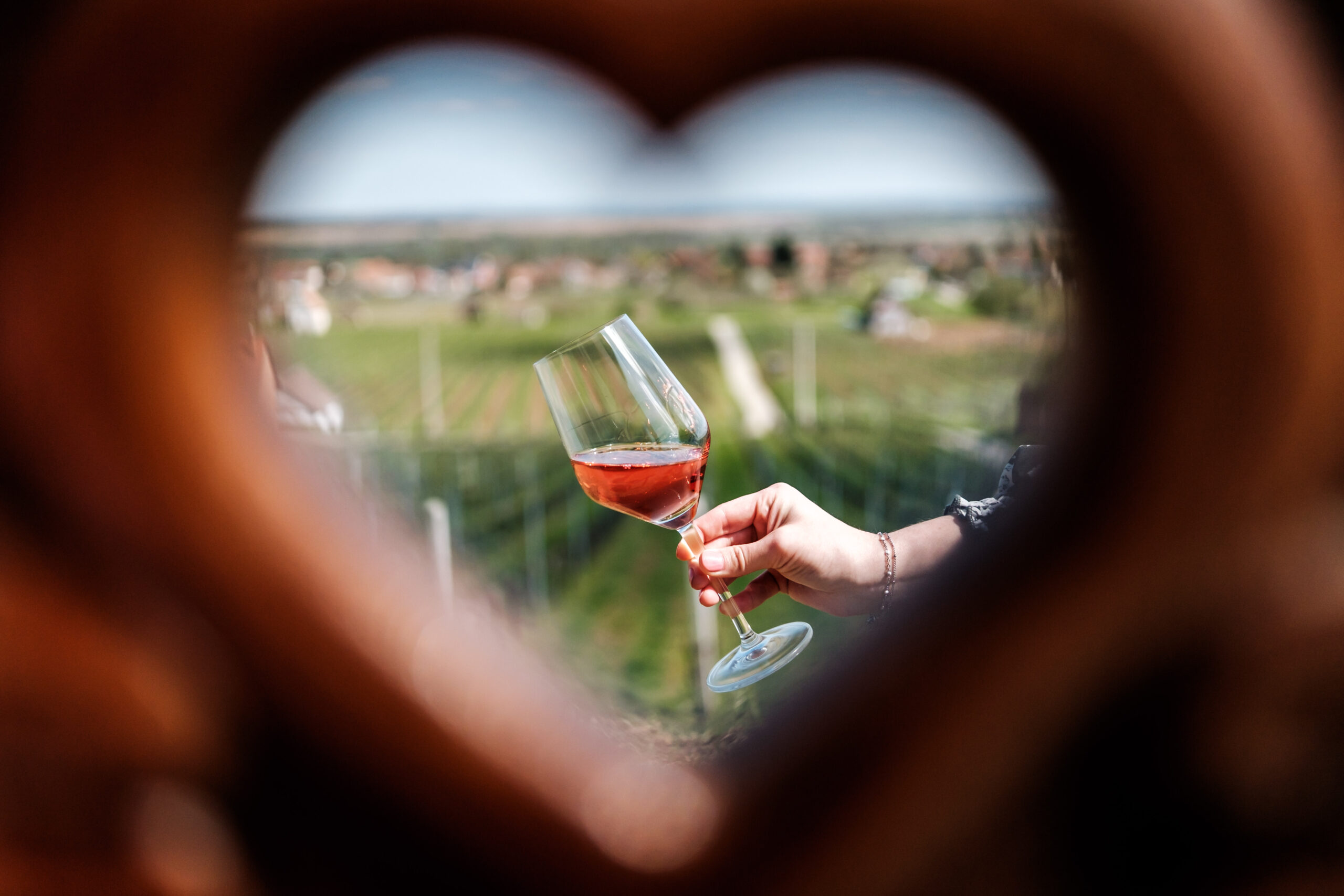 Programok 2026-ban a Villányi borvidéken